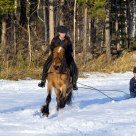 Winter holidays